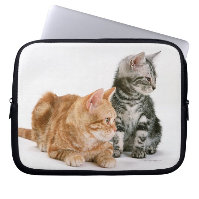 Protection Pour Ordinateur Portable Américain Shorthair (Devant)
