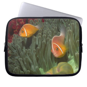 Protection Pour Ordinateur Portable Anemonefish rose dans l'actinie de Magnificant