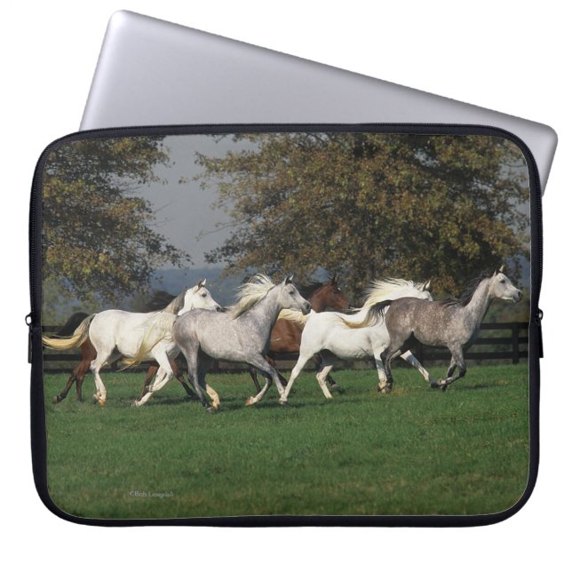 Protection Pour Ordinateur Portable Arabes courant dans le domaine (Devant)