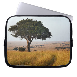 Protection Pour Ordinateur Portable Arbre d'acacia isolé dans les plaines herbeuses, M