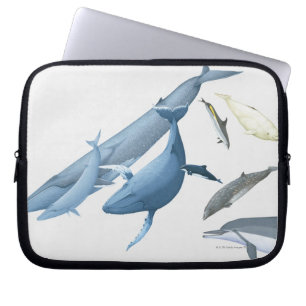 Protection Pour Ordinateur Portable Baleines