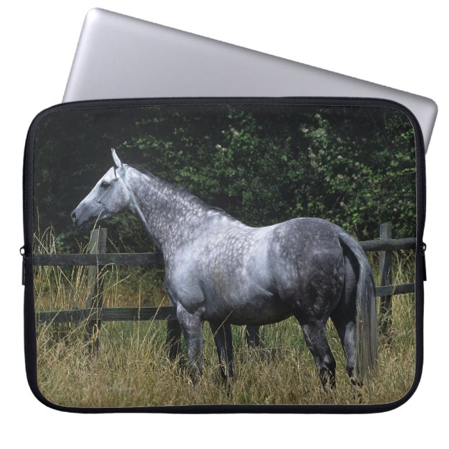 Protection Pour Ordinateur Portable Barrière se tenante prêt de cheval de pur sang (Devant)