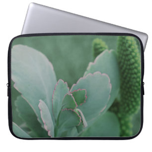 Protection Pour Ordinateur Portable Belle photo d'art Plante du désert