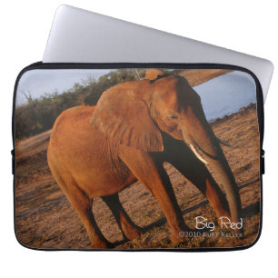 Protection Pour Ordinateur Portable Big Red