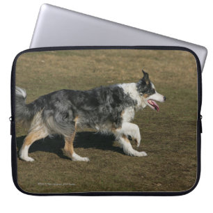 Protection Pour Ordinateur Portable Border collie courant 1