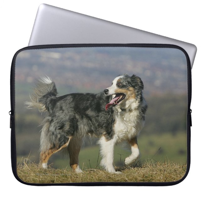 Protection Pour Ordinateur Portable Border collie haletant 2 (Devant)