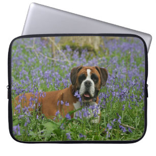 Protection Pour Ordinateur Portable Boxeur s'étendant dans les jacinthes des bois