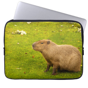 Protection Pour Ordinateur Portable Capybara