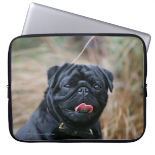 Protection Pour Ordinateur Portable Carlin noir haletant tout en regardant