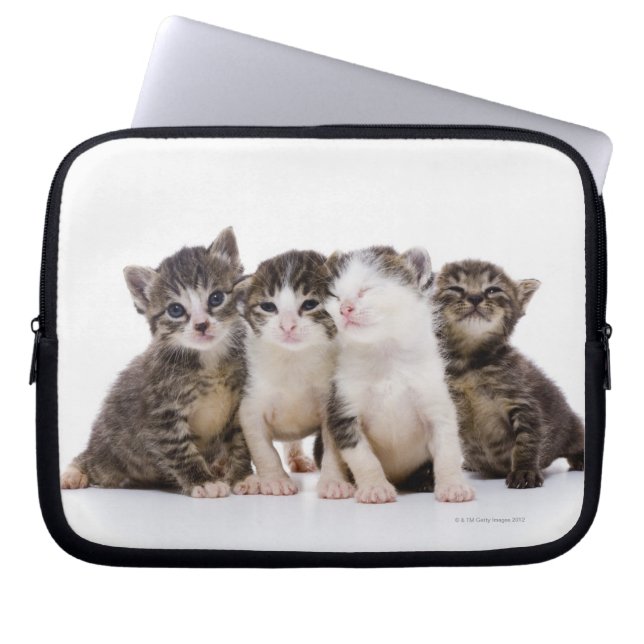 Protection Pour Ordinateur Portable Chatons doux (Devant)