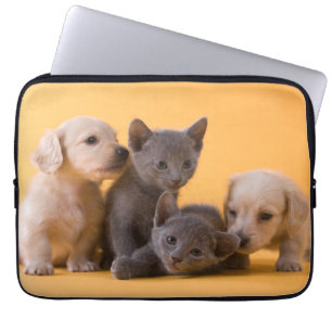 Protection Pour Ordinateur Portable Chatons et chiots bleus russes de teckel