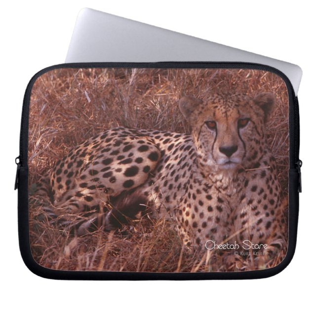 Protection Pour Ordinateur Portable Cheetah Stare (Devant)