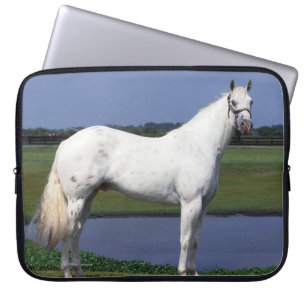 Protection Pour Ordinateur Portable Cheval d'Appaloosa