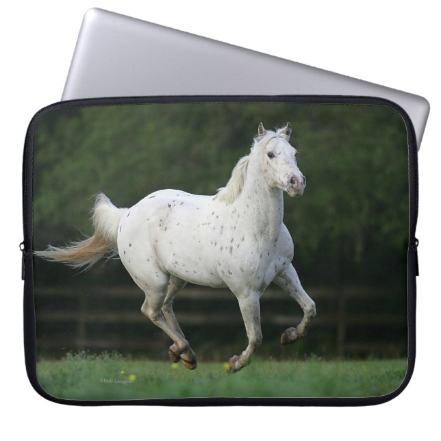 Protection Pour Ordinateur Portable Cheval d'Appaloosa courant 1 (Devant)