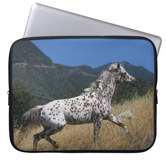 Protection Pour Ordinateur Portable Cheval d'Appaloosa courant la montagne (Devant)