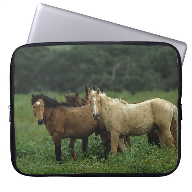 Protection Pour Ordinateur Portable Chevaux sauvages 4 de mustang (Devant)