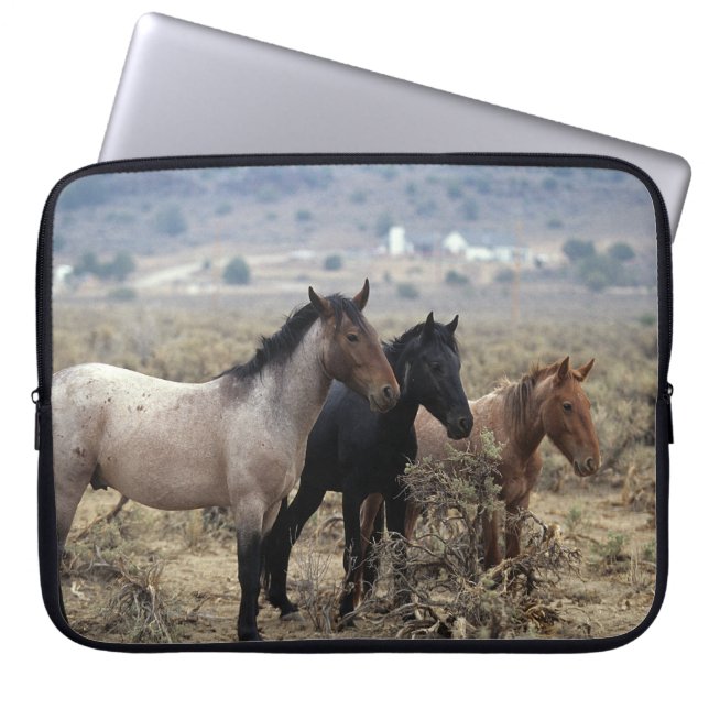 Protection Pour Ordinateur Portable Chevaux sauvages 5 de mustang (Devant)