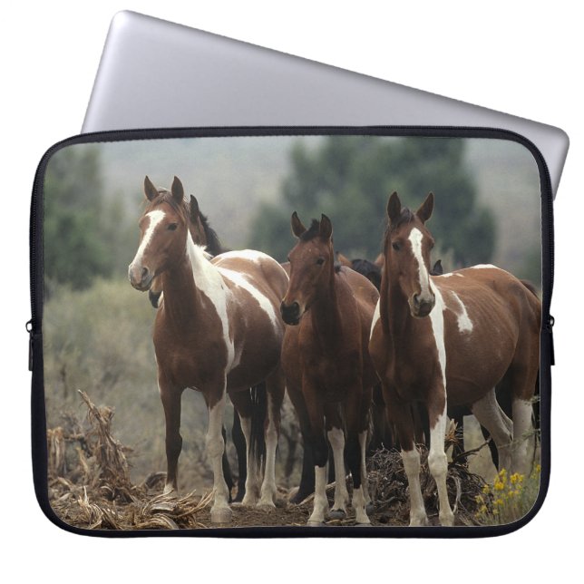 Protection Pour Ordinateur Portable Chevaux sauvages 7 de mustang (Devant)