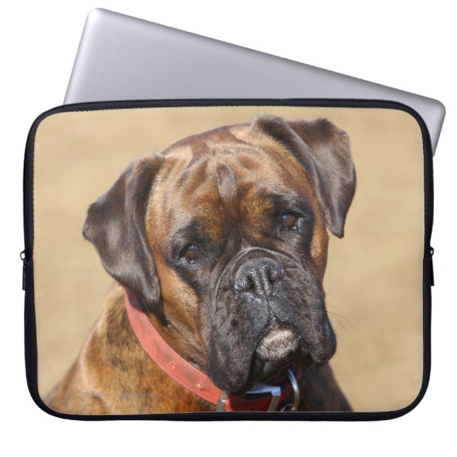 Protection Pour Ordinateur Portable Chien Brindle de boxeur (Devant)
