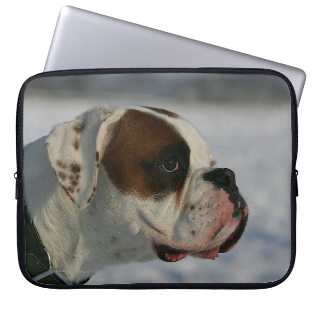 Protection Pour Ordinateur Portable Chien de boxeur dans la neige (Devant)