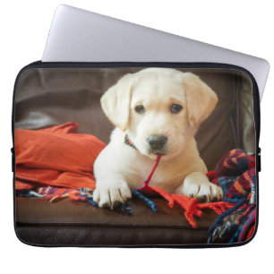 Protection Pour Ordinateur Portable Chiot des images de Getty sur un sofa