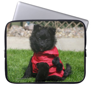 Protection Pour Ordinateur Portable Chiot noir de Pomeranian regardant