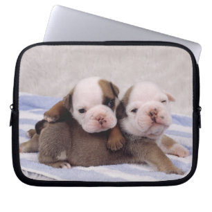 Protection Pour Ordinateur Portable Chiots de bouledogue