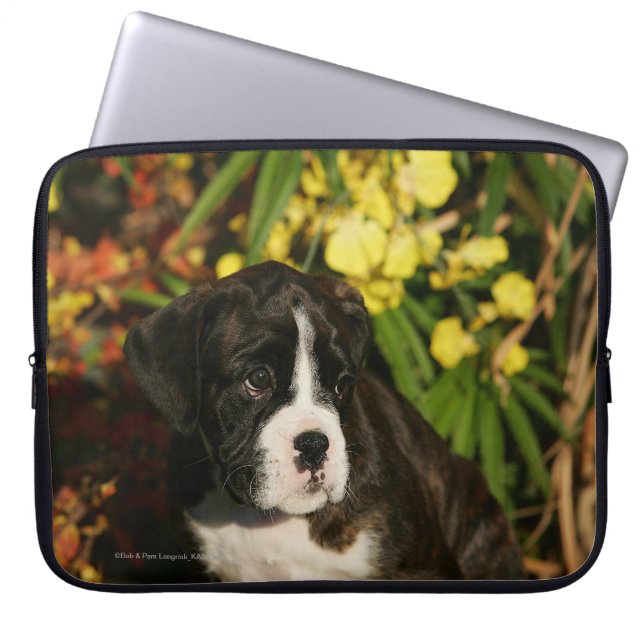 Protection Pour Ordinateur Portable Chiots de boxeur (Devant)