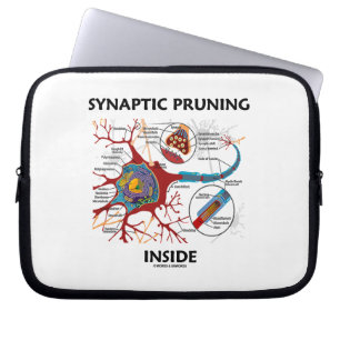 Protection Pour Ordinateur Portable Élagage synaptique à l'intérieur de la neurolog