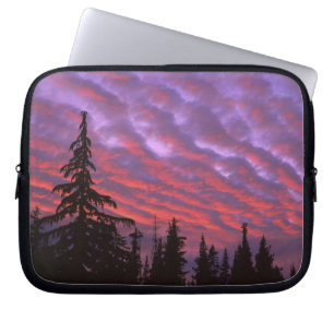 Protection Pour Ordinateur Portable États-Unis, Oregon, Three Sisters Wilderness, Vivi