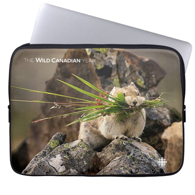 Protection Pour Ordinateur Portable Été - American Pica (Devant)