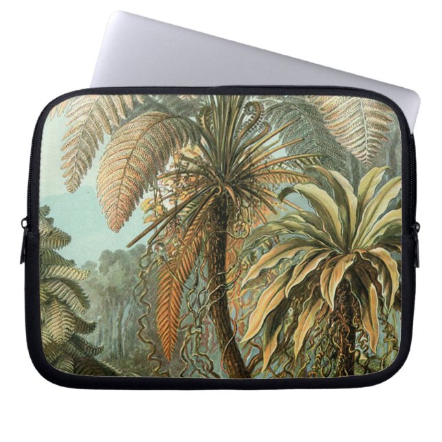 Protection Pour Ordinateur Portable Ferns Palm Tree Antiquité Botanique Ferns Art (Devant)