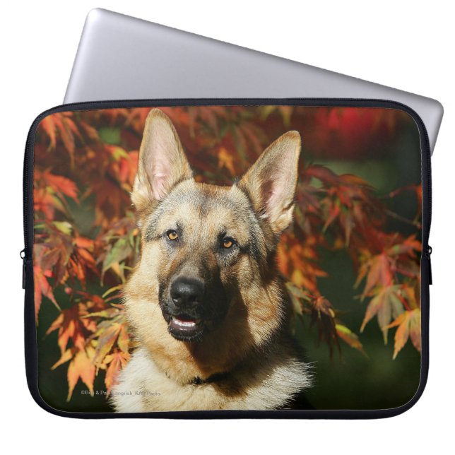 Protection Pour Ordinateur Portable Feuille d'automne de berger allemand (Devant)