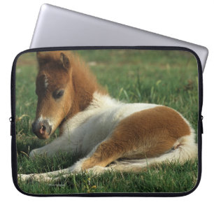Protection Pour Ordinateur Portable Fixation miniature de poulain
