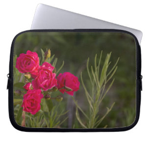 Protection Pour Ordinateur Portable Fleur rose