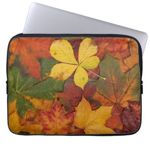 Protection Pour Ordinateur Portable Folithe d'automne