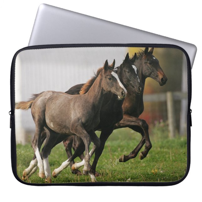 Protection Pour Ordinateur Portable Fonctionnement de poulain (Devant)