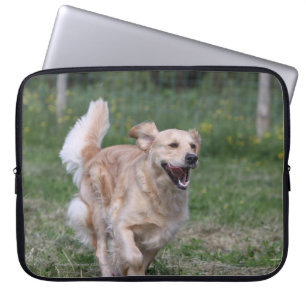 Protection Pour Ordinateur Portable Golden retriever courant 1