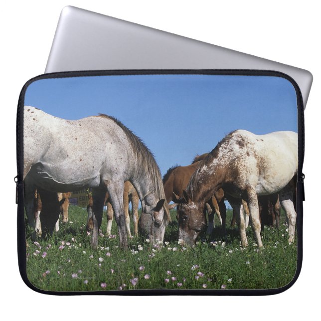 Protection Pour Ordinateur Portable Groupe de pâturage de chevaux d'Appaloosa (Devant)