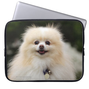 Protection Pour Ordinateur Portable Headshot 1 de Pomeranian