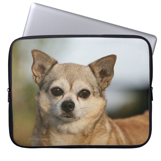 Protection Pour Ordinateur Portable Headshot de chiwawa (Devant)