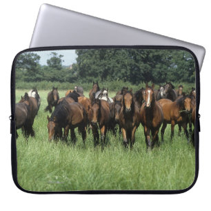 Protection Pour Ordinateur Portable Jeunes de pur sang
