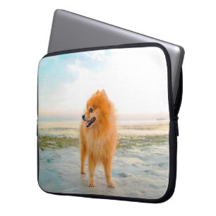 Protection Pour Ordinateur Portable Joli Pomeranian orange sur la plage