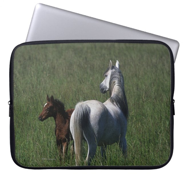 Protection Pour Ordinateur Portable Jument et poulain arabes (Devant)