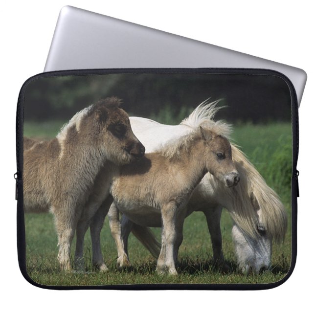 Protection Pour Ordinateur Portable Jument et poulains miniatures 3 (Devant)