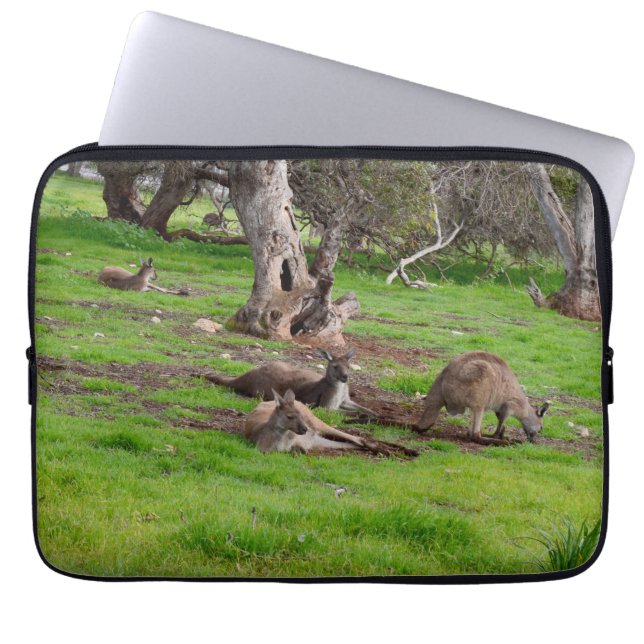 Protection Pour Ordinateur Portable Kangaroo Siesta Time, (Devant)