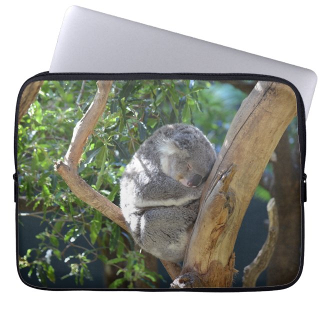 Protection Pour Ordinateur Portable Koala de sommeil (Devant)