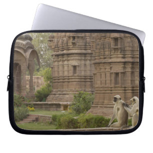 Protection Pour Ordinateur Portable Langurs d'Hanuman ou langur commun