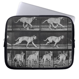 Protection Pour Ordinateur Portable Le chien courant, plaquent 707 "de la locomotion