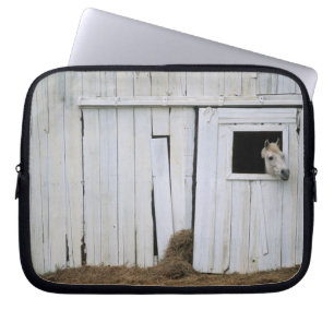 Protection Pour Ordinateur Portable Le collage de cheval dirigent la fenêtre de grang